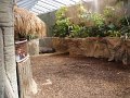 zoo 051